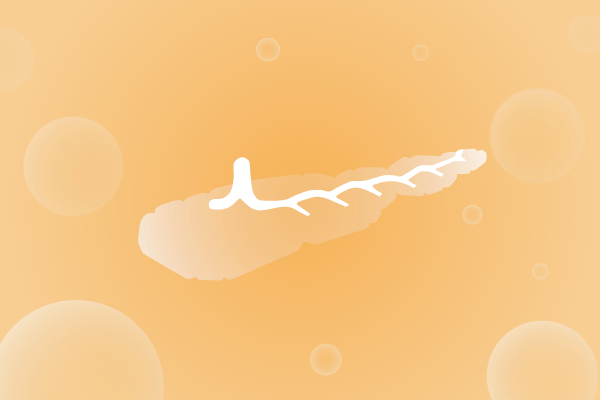 内分泌系统，腺体，胰腺遗传病、基因病、罕见病基因解码，基因检测，基因筛查与分子诊断