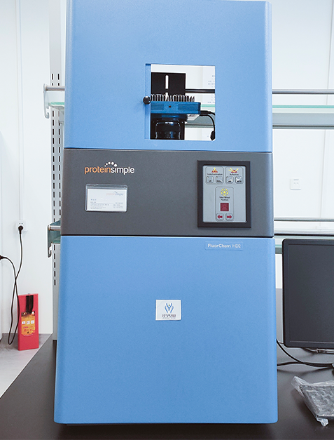 基因解码取代基因检测成为基因行业主流