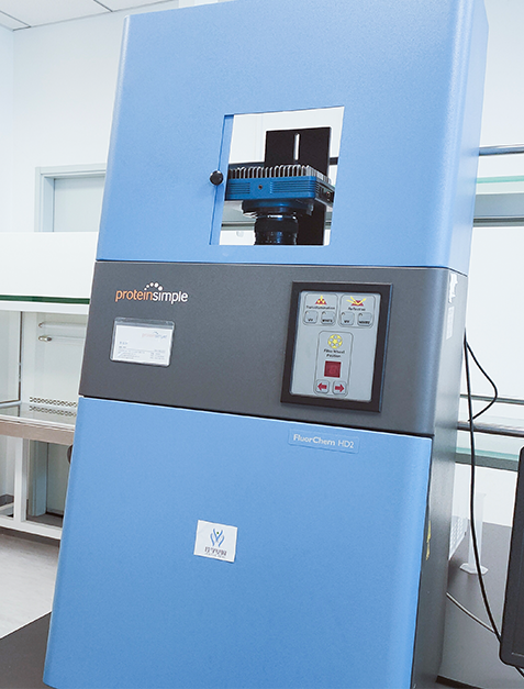 基因解码取代基因检测成为基因行业主流